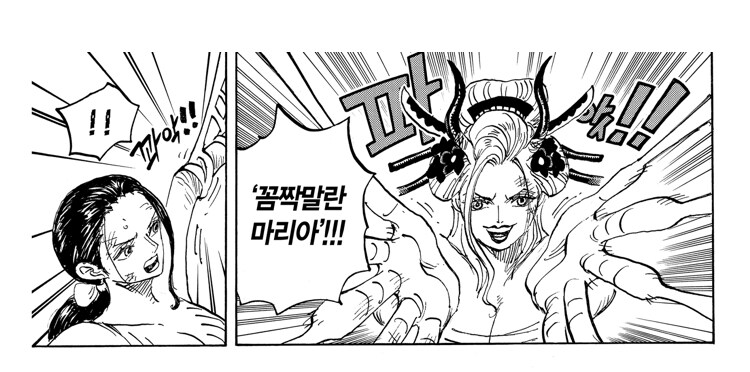원피스 근래에 보고 가장 감탄했던 번역_1.jpg