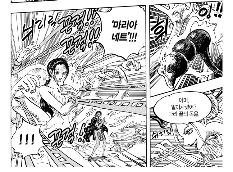 원피스 근래에 보고 가장 감탄했던 번역_2.jpg