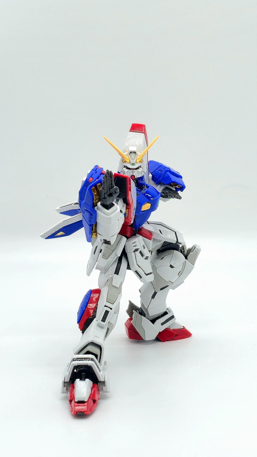 [RG] 이제야 만든 샤이닝 건담_1.jpg