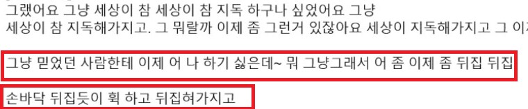 버튜버,버미육)아닌겨의 건망고 저작권 관련문제 결과_8.png