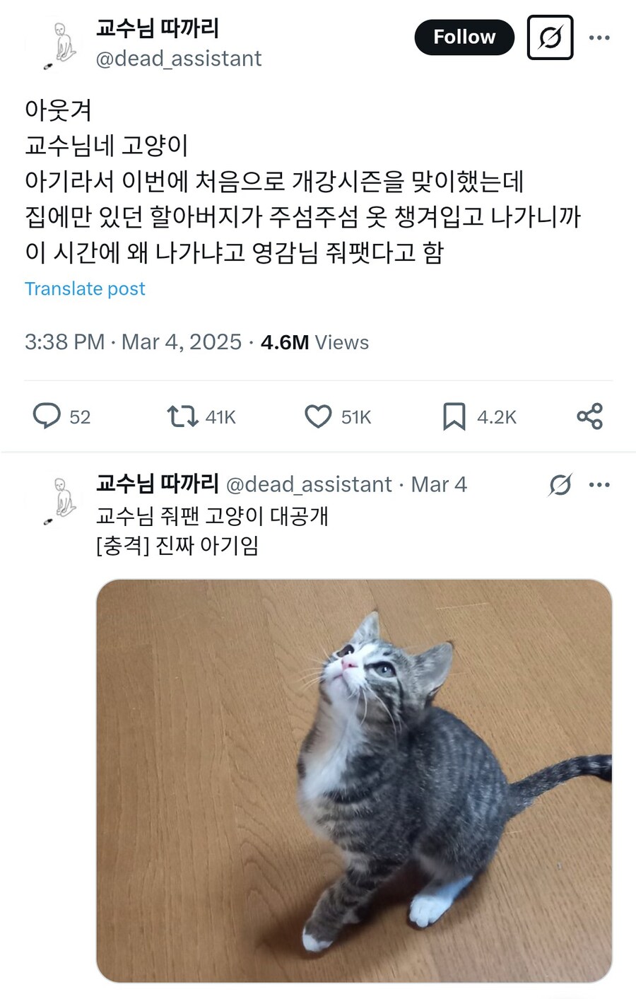 교수님네 고양이가 개강 이해못하고 교수님 팸.twit_1.jpg