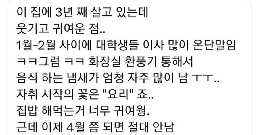 3년째 대학가에 살고 있는 사람이 느낀 귀여운 점_1.webp