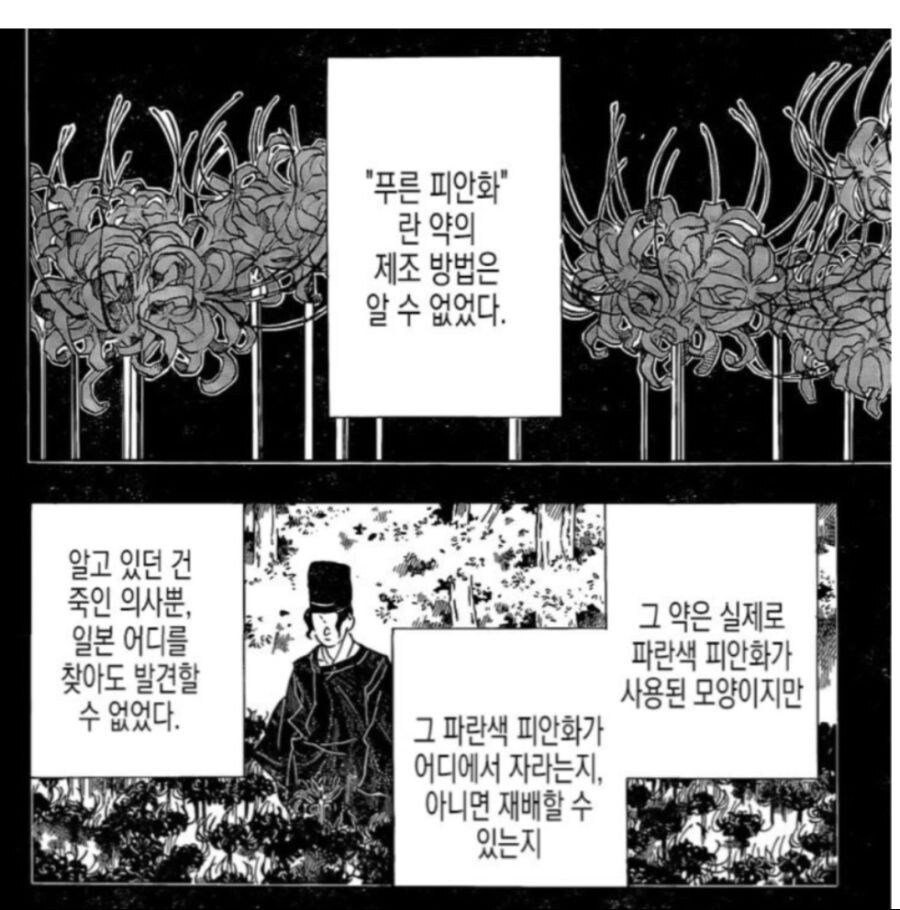 귀멸) 푸른 피안화가 태양 극복 시켜주는 건 맞음?_2.jpg