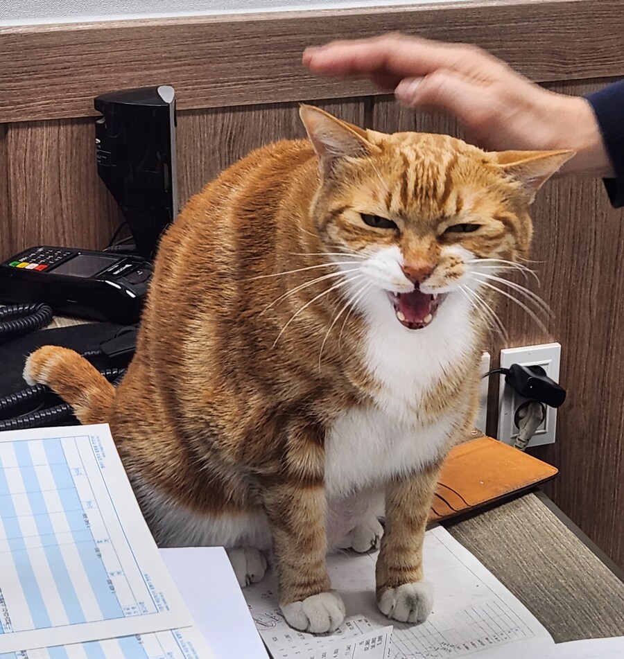 아버지가 열혈강호 되게 열심히 보시길래_1.png