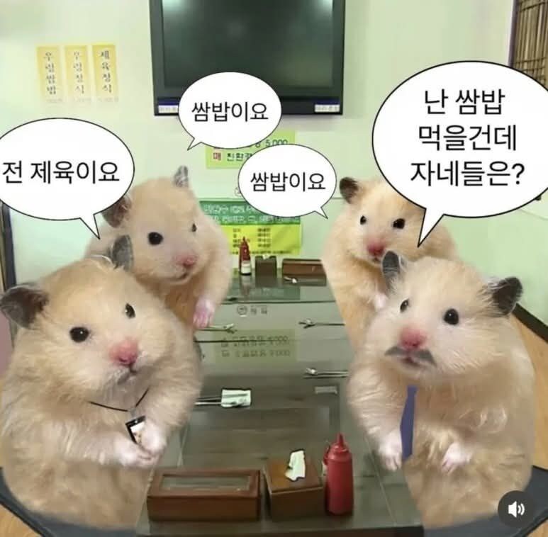식당도 바쁠텐데 메뉴는 하나로 통일하지_1.jpg