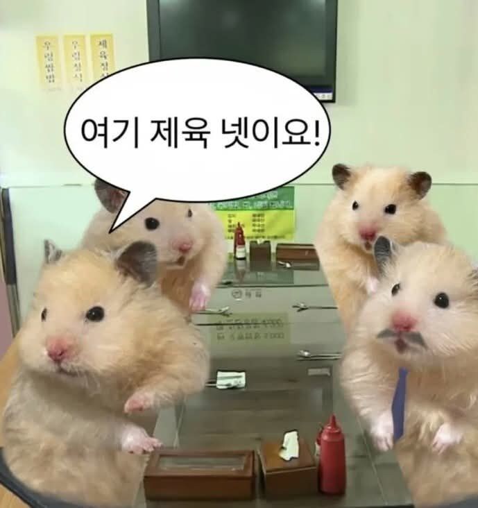 식당도 바쁠텐데 메뉴는 하나로 통일하지_3.jpg