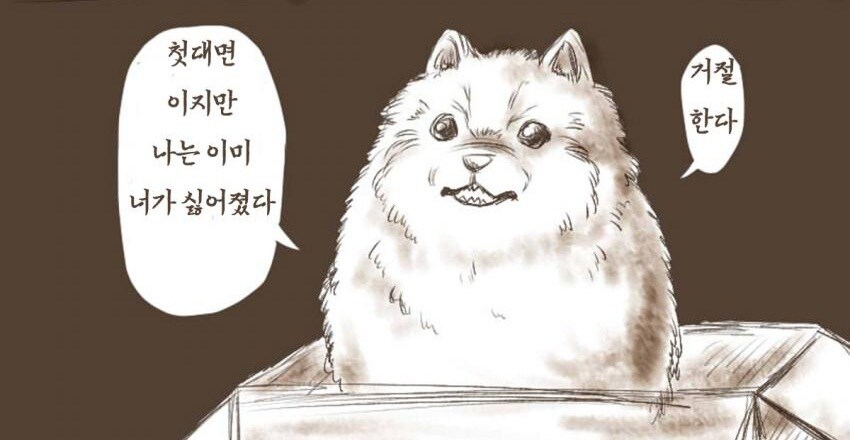 슈로대Y) 에이스보너스 어디서 확인할수있음?_1.jpg