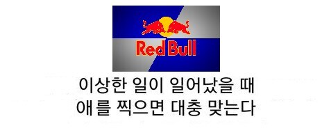 또다른 정신나간 챌린지를 기획한 레드불_1.jpg