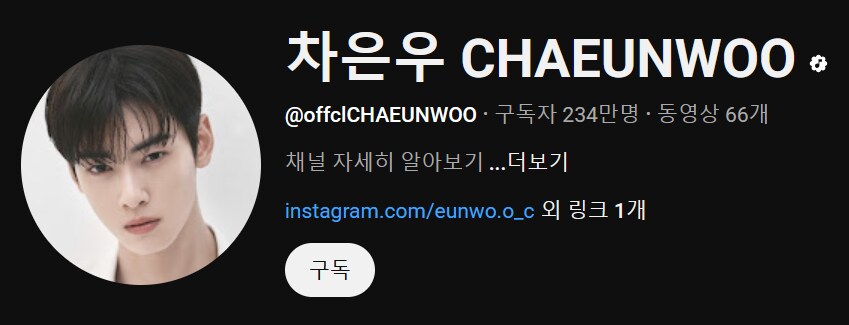 구독자 234만 유튜버로 살기 vs 차은우 외모로 살기_1.png