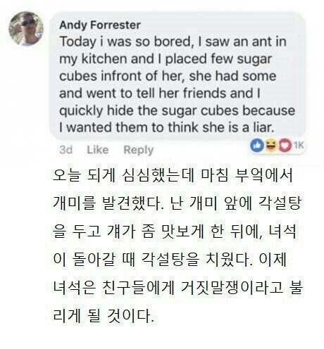 거짓말쟁이 노랜드_1.jpg
