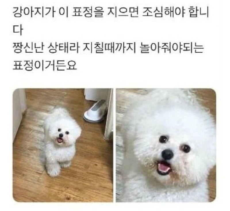 쮸인아! 준비됐나!! 준비됐나!!_1.jpg
