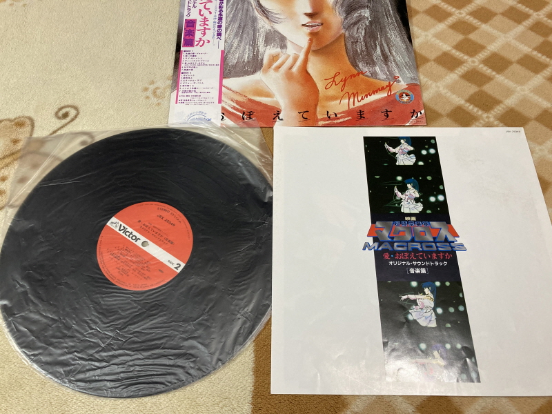마크로스 더 무비(the MOVIE) 퍼펙트 에디션 with Game_234.jpg