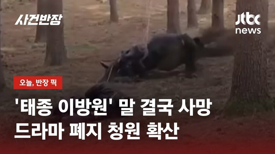 경마) 경주마 학대 논란에서 이상하게 쓰이는 케이스_1.jpg
