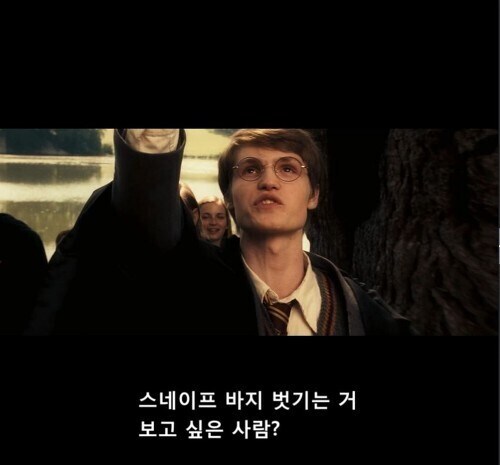 해리포터) 개인적으로 생각하는 해리포터 최고의 반전_1.jpg
