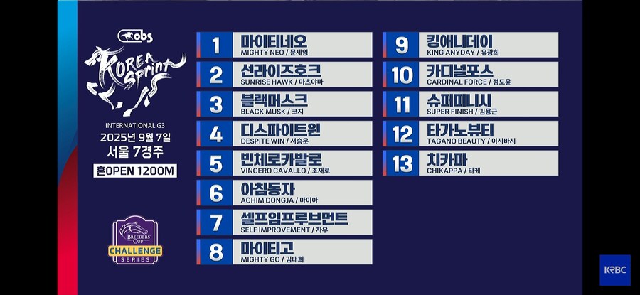 경마) 코리아컵 & 스프린트 게이트 확정_1.jpg