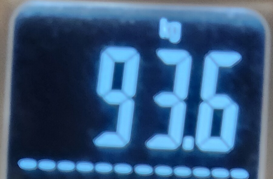 으른양 다이어트 66일차_3.png