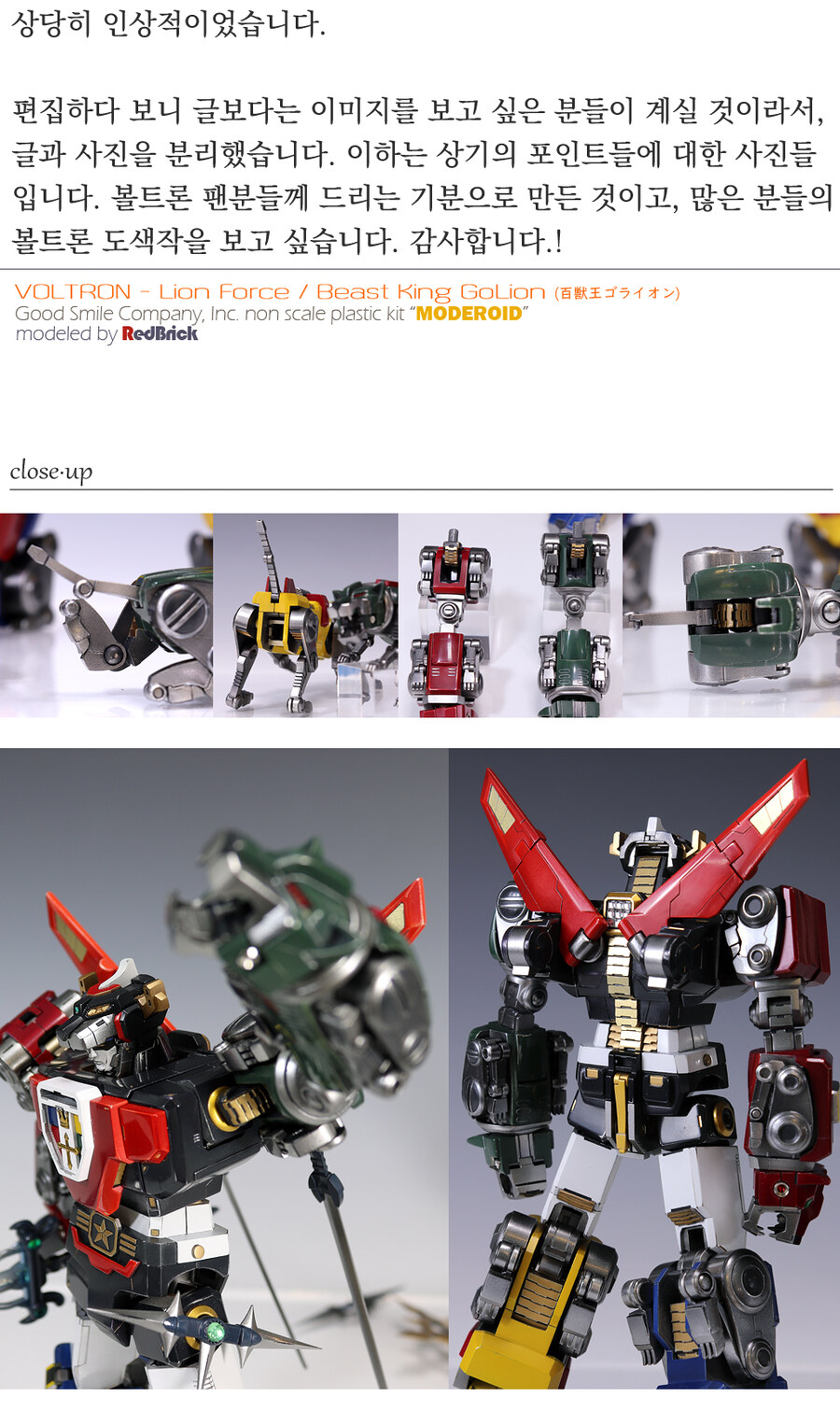 볼트론Voltron 팬들과 함께_초스압주의_74.jpg