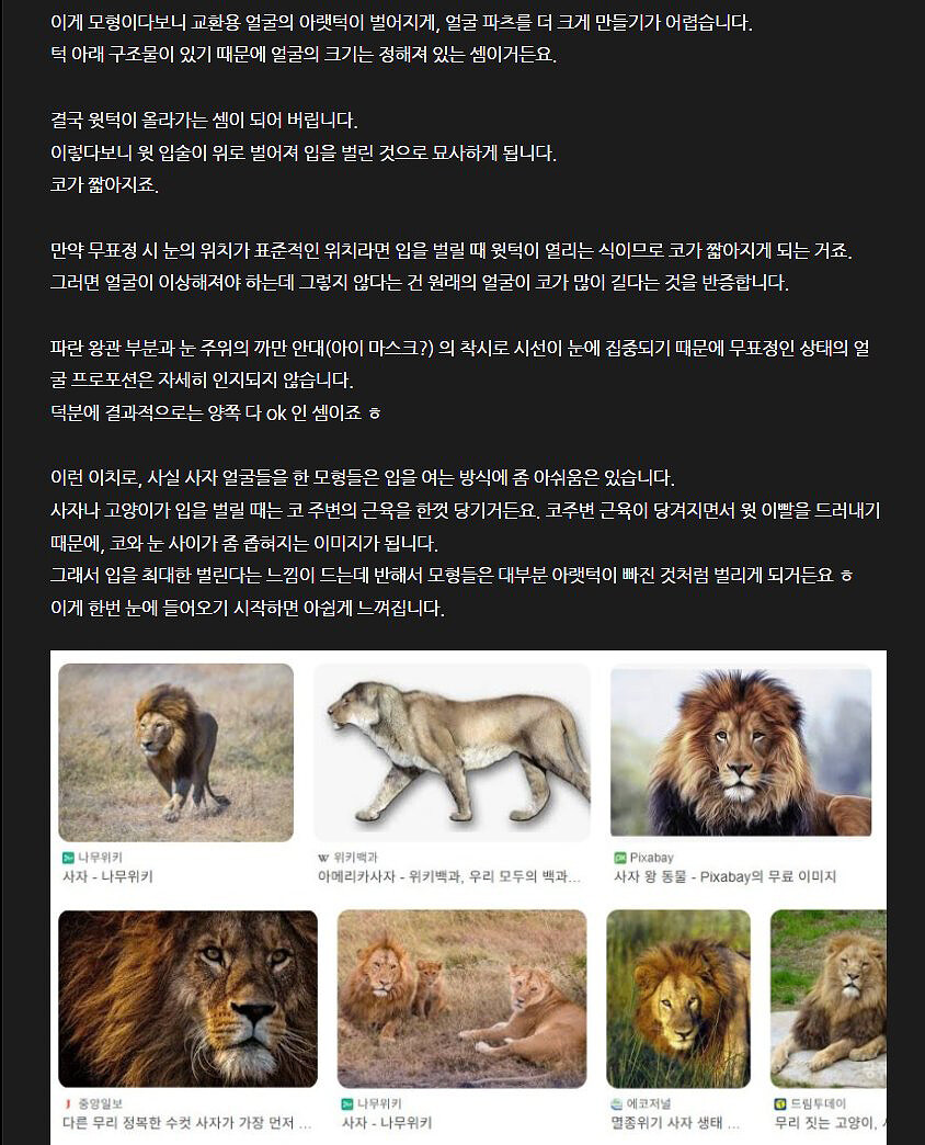 볼트론Voltron 팬들과 함께_초스압주의_51.jpg