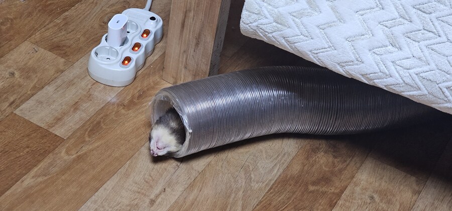 귀여운거보고가_1.jpg