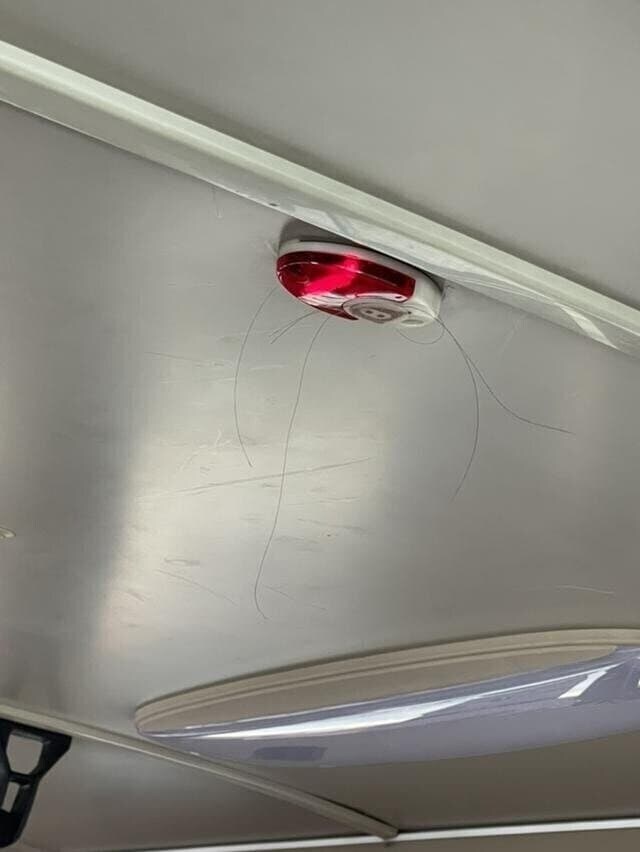 괴담) 어딘가엔 머리카락이 자라는 하차벨이 있다고 한다_1.jpg