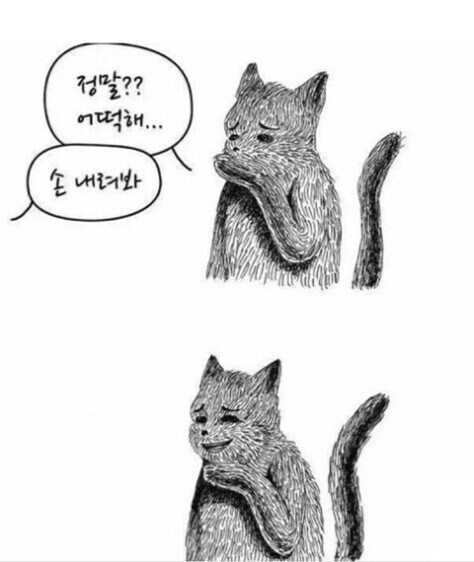 근데 어제 히나타가 방송하면서 힘들어 하는거보고 좀 안타깝긴 했어요_1.jpg