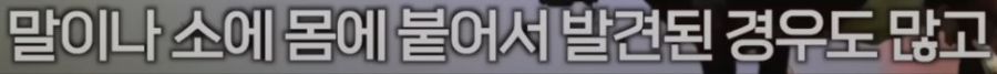 혐) ㅇㅇㄱㅇㅅㄷㅇㅍㄹ) ㅇㅍㄹ가 식물의 잎을 뜻하는거로 알고 있는 애들이 많은데_4.jpg