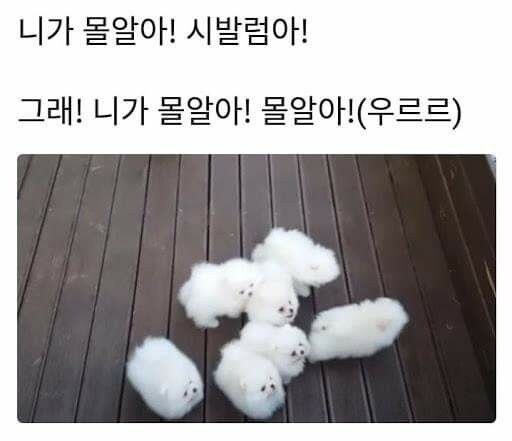 누가 쿠우쿠우에서 회만 싹 걷어가고 밥만 남겼어_1.jpg