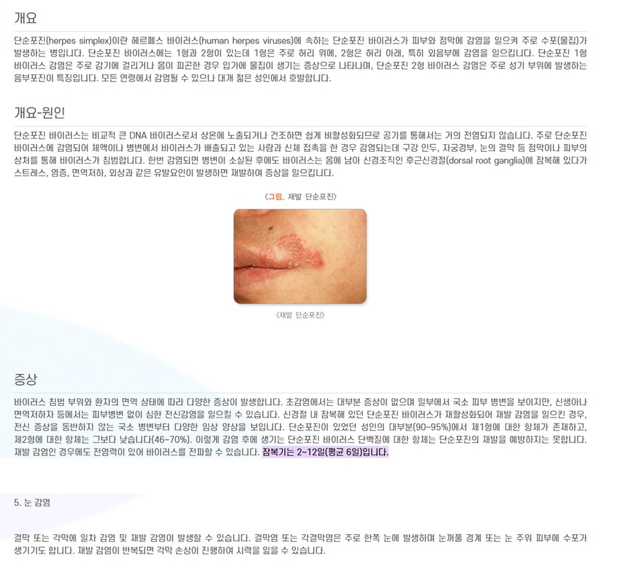 ㅅㅍ 눈에 헤르페스 생긴다고 성병 아니라고 눈박이 새끼들아_1.png