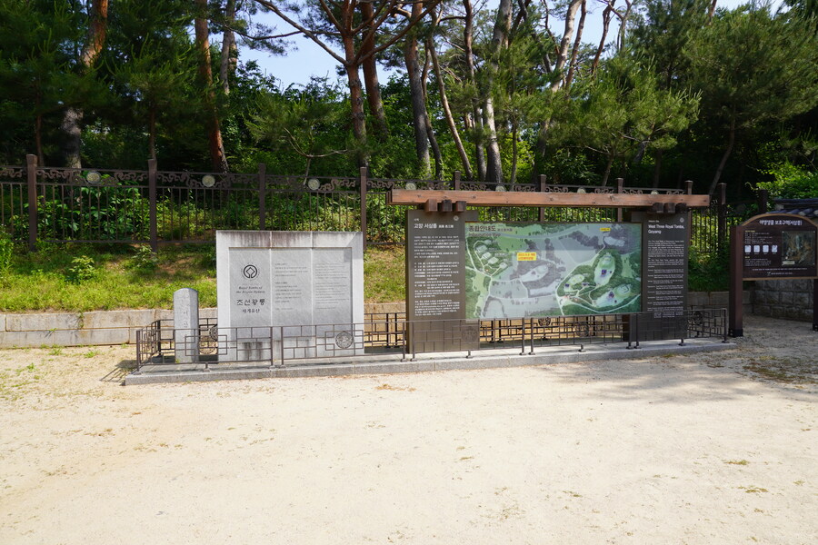 5월,6월 창릉천, 원당목장, 파주삼릉 탐조_18.jpg