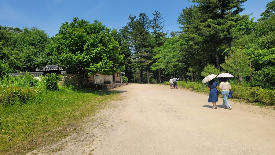 5월,6월 창릉천, 원당목장, 파주삼릉 탐조_38.jpg