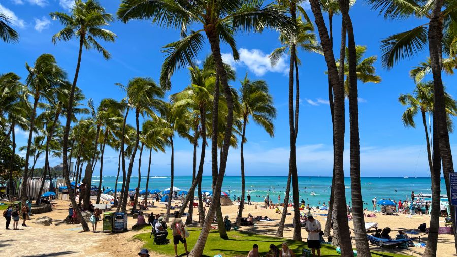 일본 회사 한국지점에서 10년만에 권고사직 당하고 하와이 다녀왔습니다.._7.jpeg