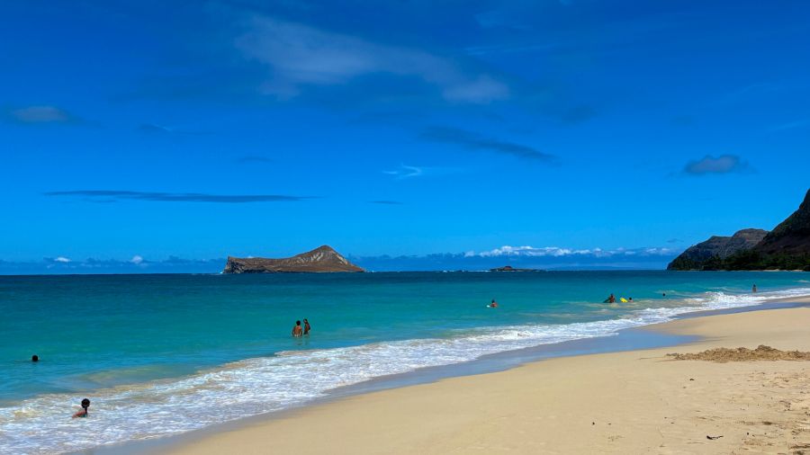 일본 회사 한국지점에서 10년만에 권고사직 당하고 하와이 다녀왔습니다.._22.jpeg