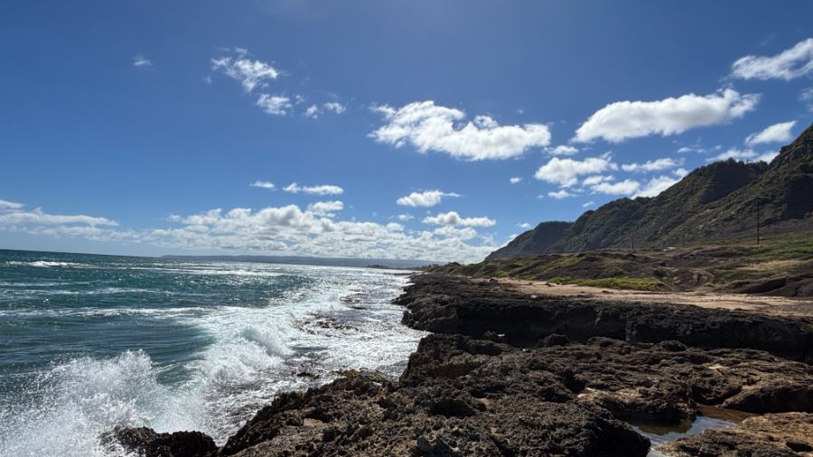 일본 회사 한국지점에서 10년만에 권고사직 당하고 하와이 다녀왔습니다.._27.jpeg