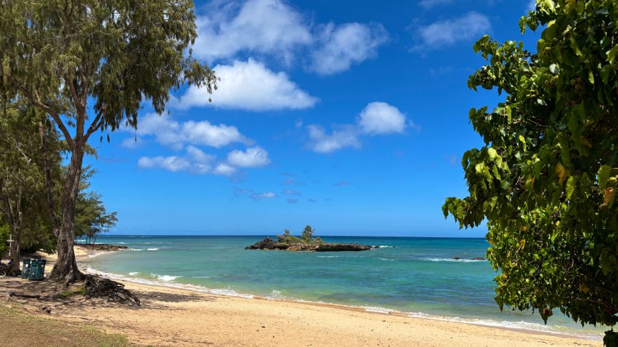 일본 회사 한국지점에서 10년만에 권고사직 당하고 하와이 다녀왔습니다.._28.jpeg