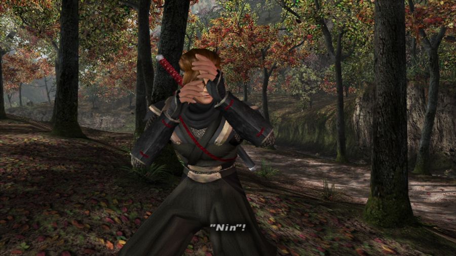 DEAD OR ALIVE 3_5.jpg