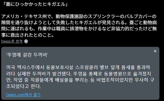 콩쥐야...ㅈ됐어..._3.jpg
