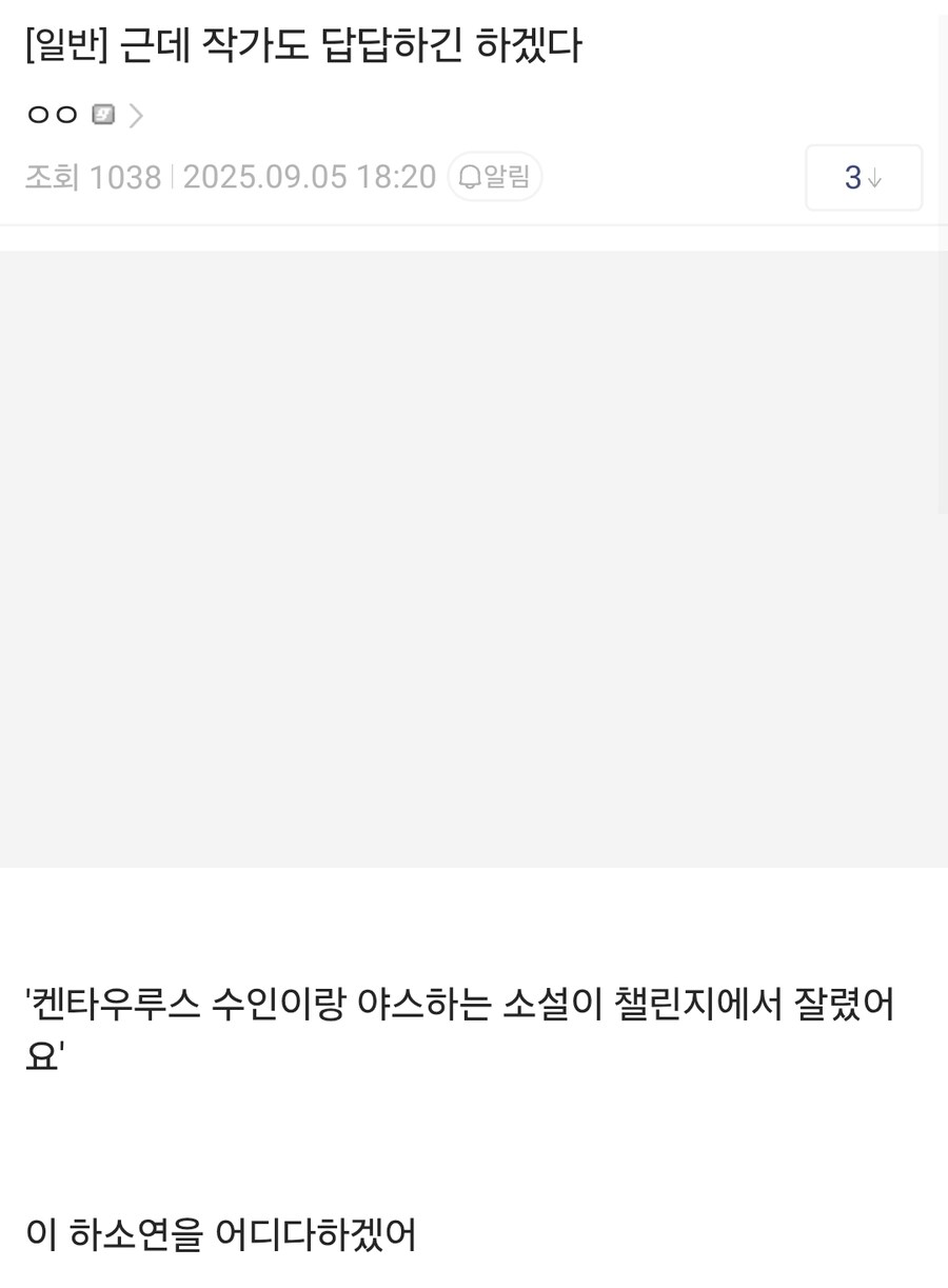 웹소설) "노벨피아 규정 잘 지켰는데 검열 당해서 챌린지 탈락함 ㅠㅠ"_2.jpg