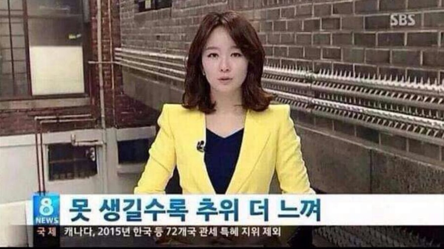 요즘 아침에 쌀쌀함을 느끼는 유게이 있냐?_1.jpg