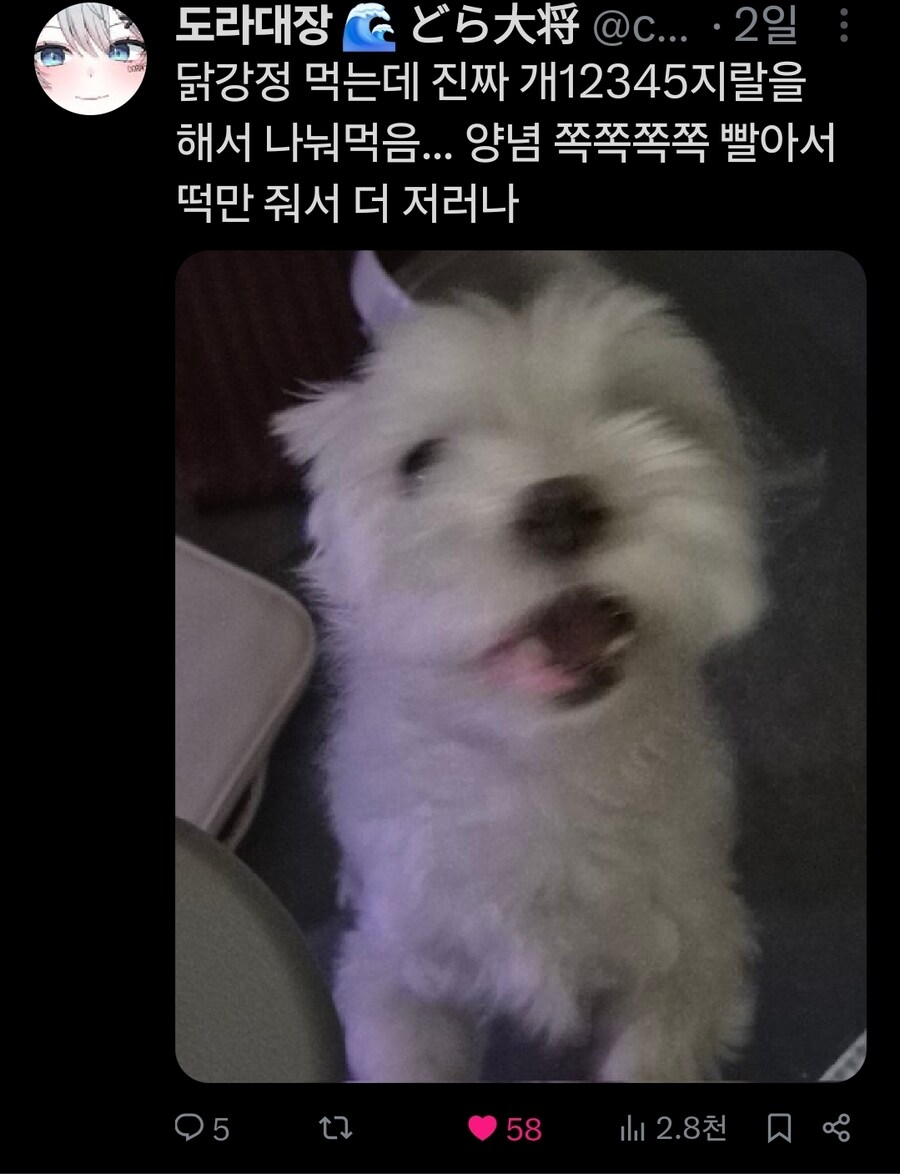 버튜버)무슨무슨법)본인 트위터가 노잼이라는 가오리_1.jpg