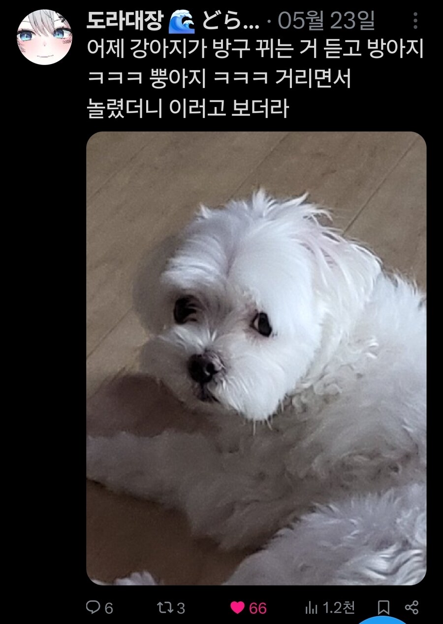 버튜버)무슨무슨법)본인 트위터가 노잼이라는 가오리_8.jpg