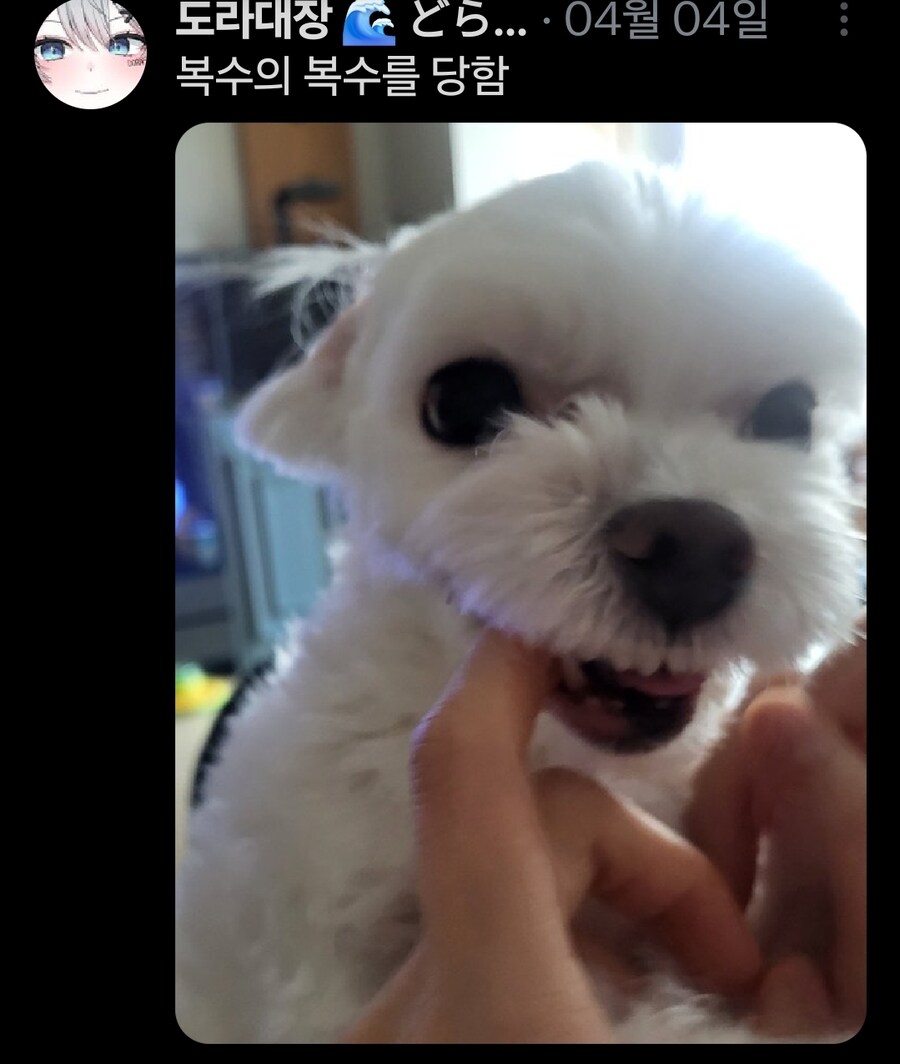 버튜버)무슨무슨법)본인 트위터가 노잼이라는 가오리_11.jpg