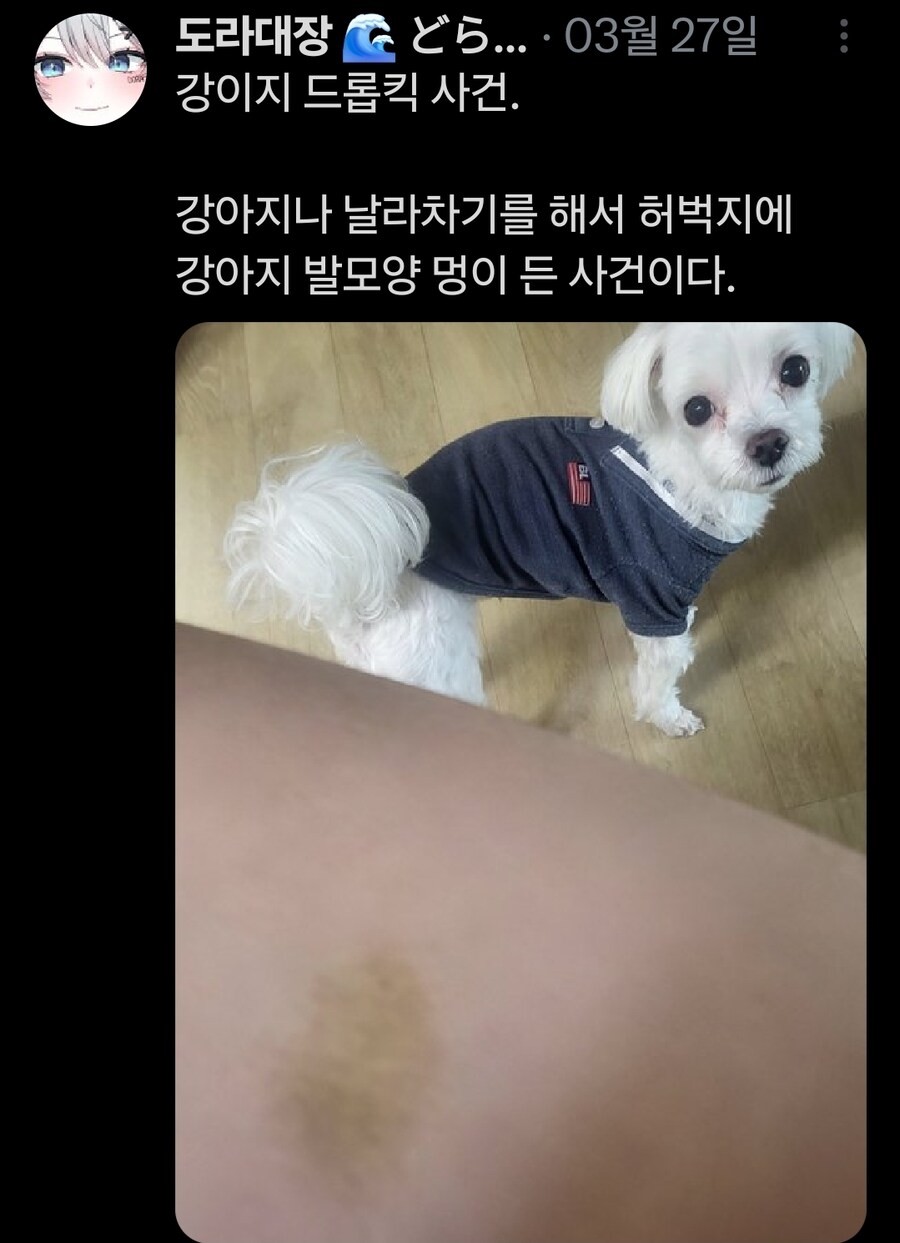 버튜버)무슨무슨법)본인 트위터가 노잼이라는 가오리_13.jpg