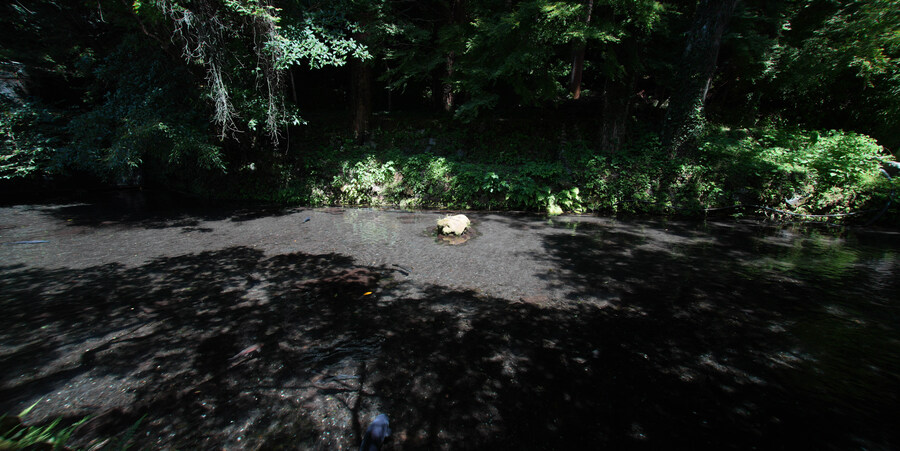 [스압] 구마모토 9박 10일 여행기 (2)_44.jpg