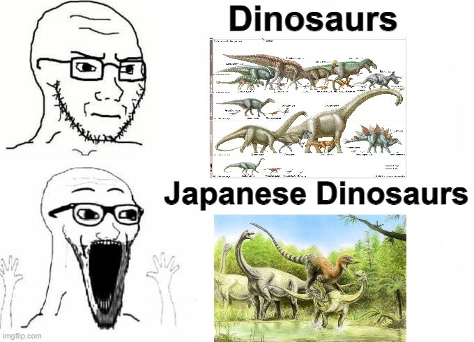 일뽕에 대한 인식은 한국만 ㅈ같애 하는게 아님_4.png