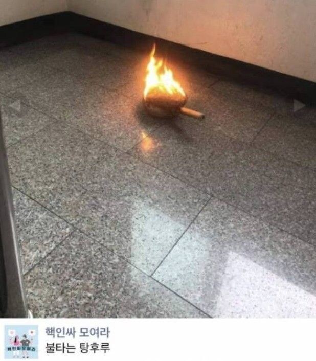 스압) 망한 요리 사진들_3.jpg