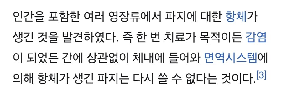 박테리아 파지 요법의 단점_2.jpg