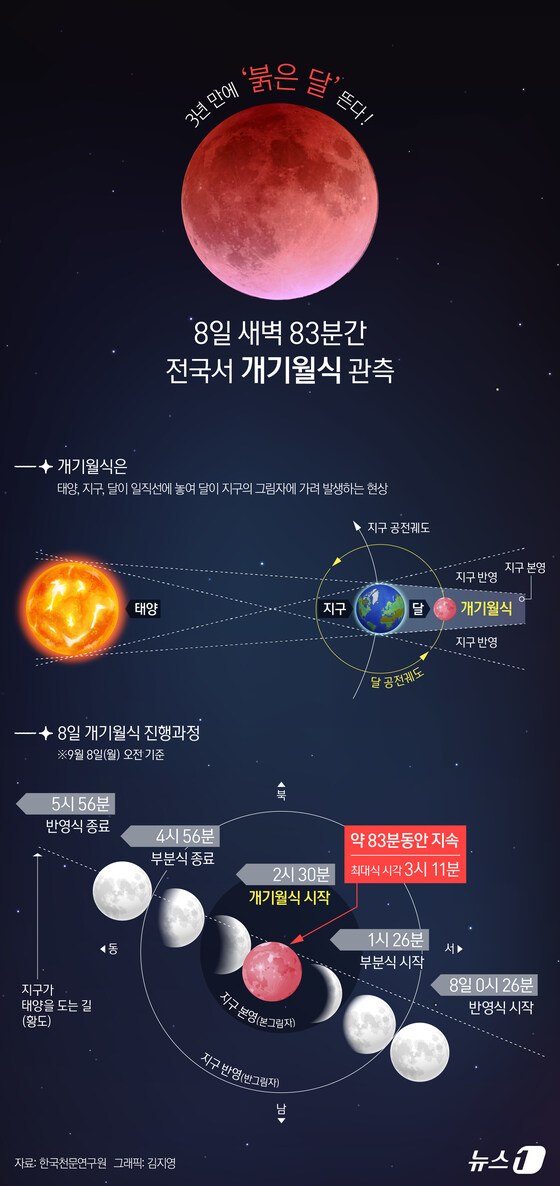 대한민국의 밤 근황