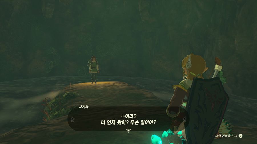 젤다의 전설 티어즈 오브 더 킹덤_34.png