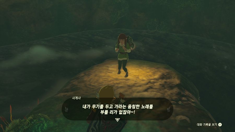 젤다의 전설 티어즈 오브 더 킹덤_36.png