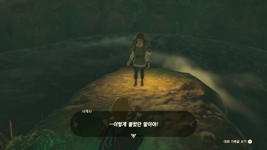 젤다의 전설 티어즈 오브 더 킹덤_38.png